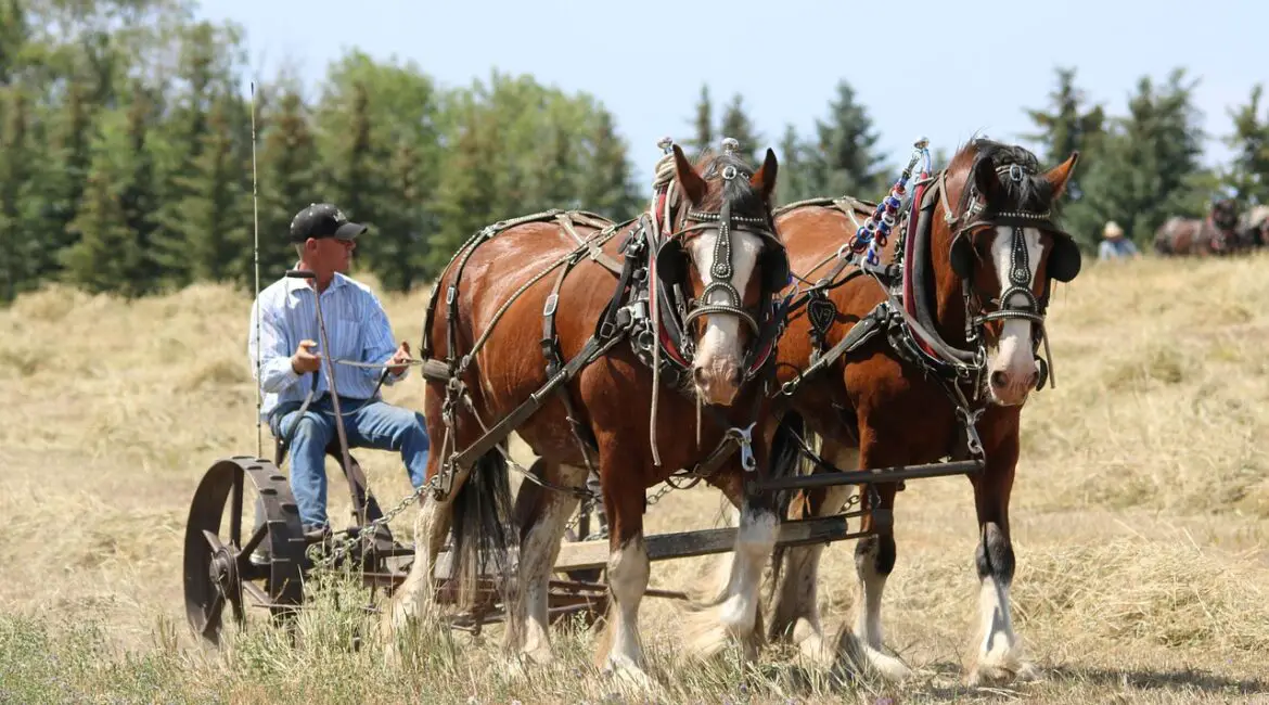 Población rural de estados unidos